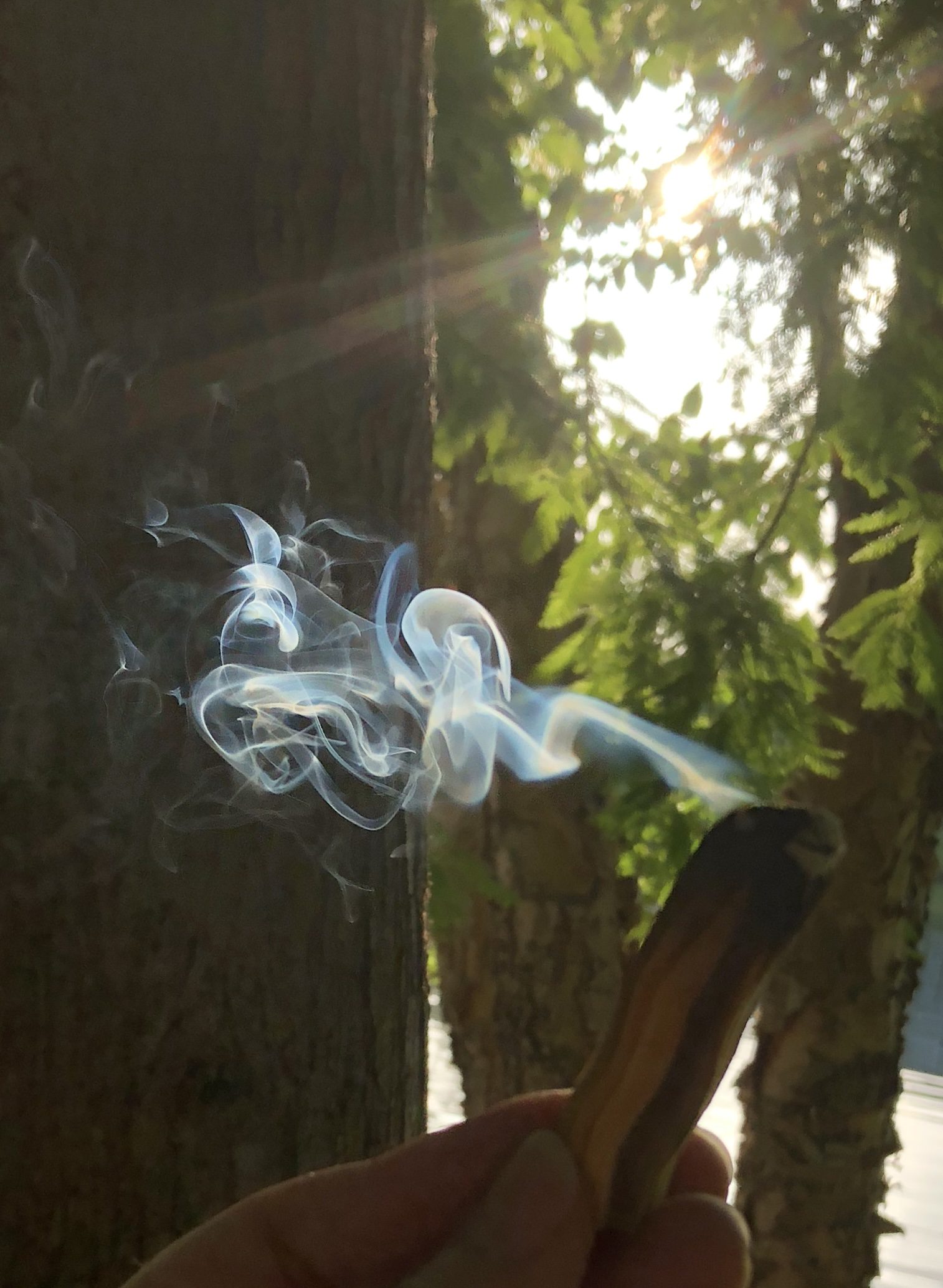 A person holding a smoke stick in front of trees.